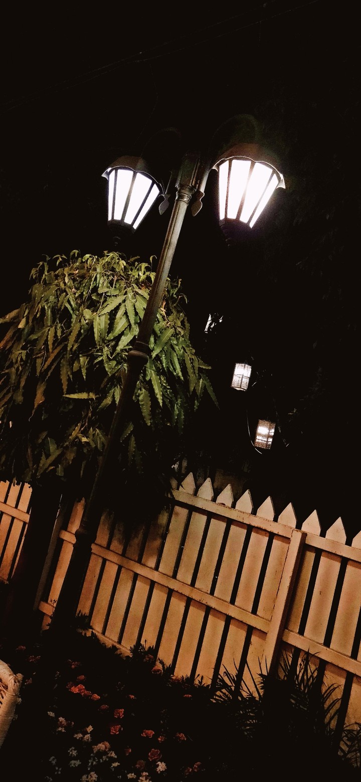 lamp