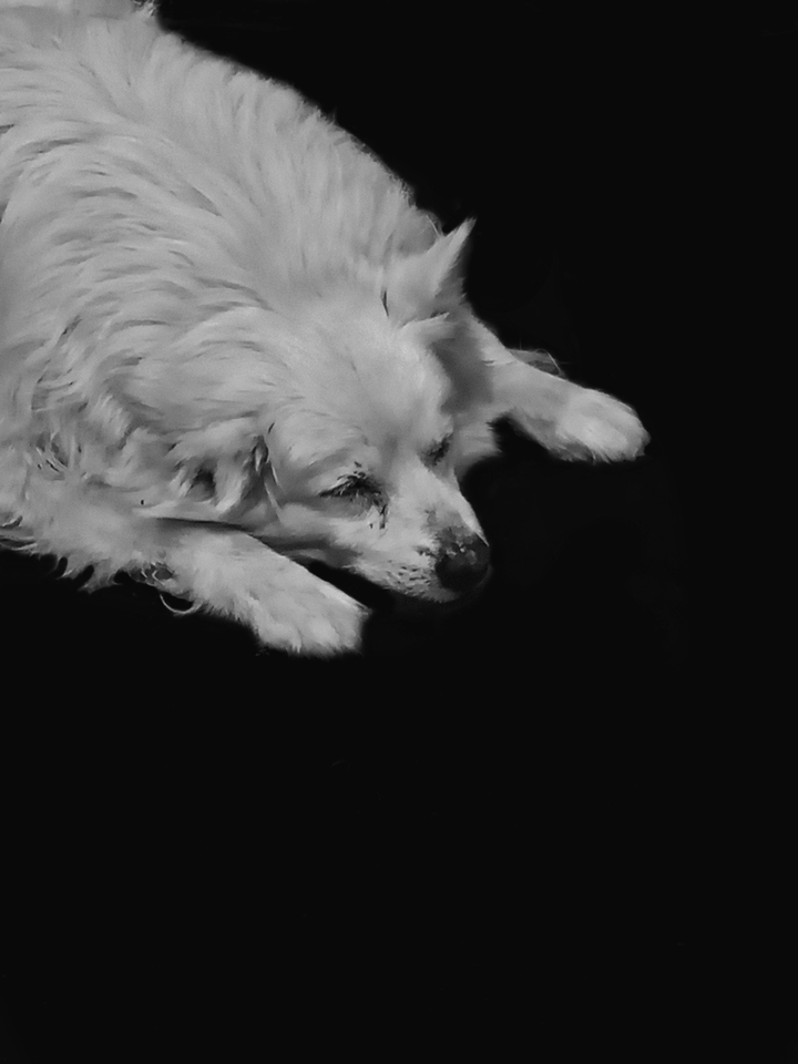 the Sleeping ?
