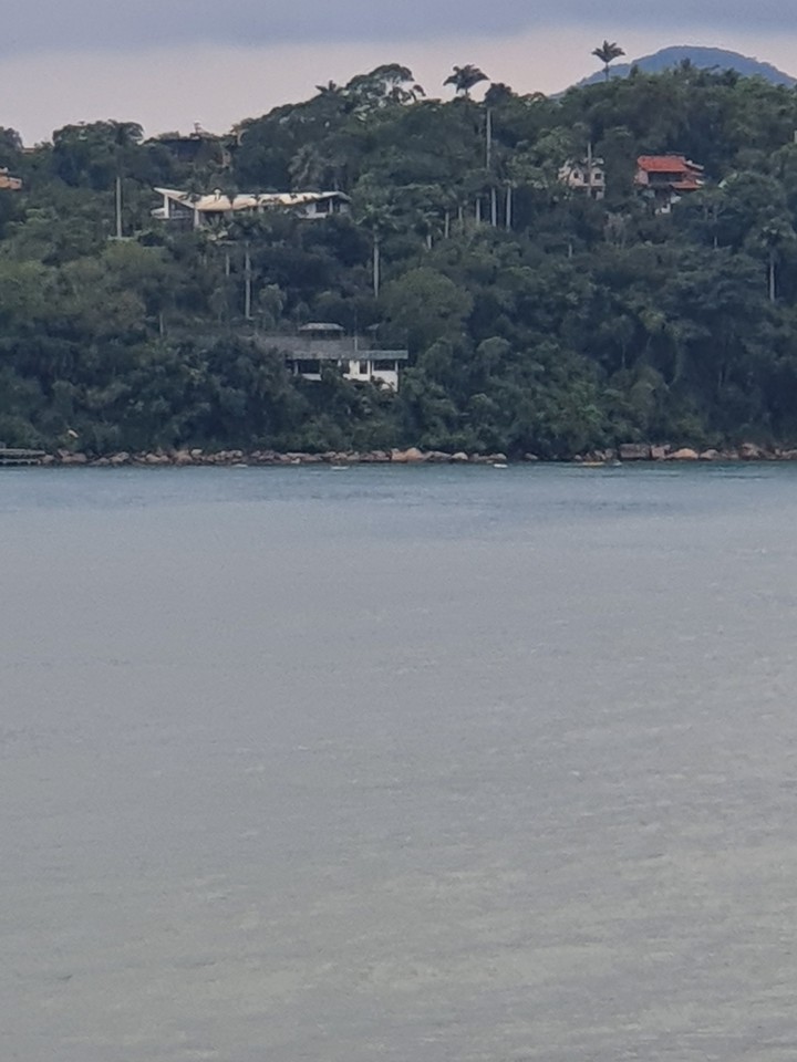 simplismo