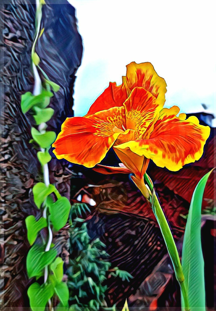 From my Garden_shot on OP