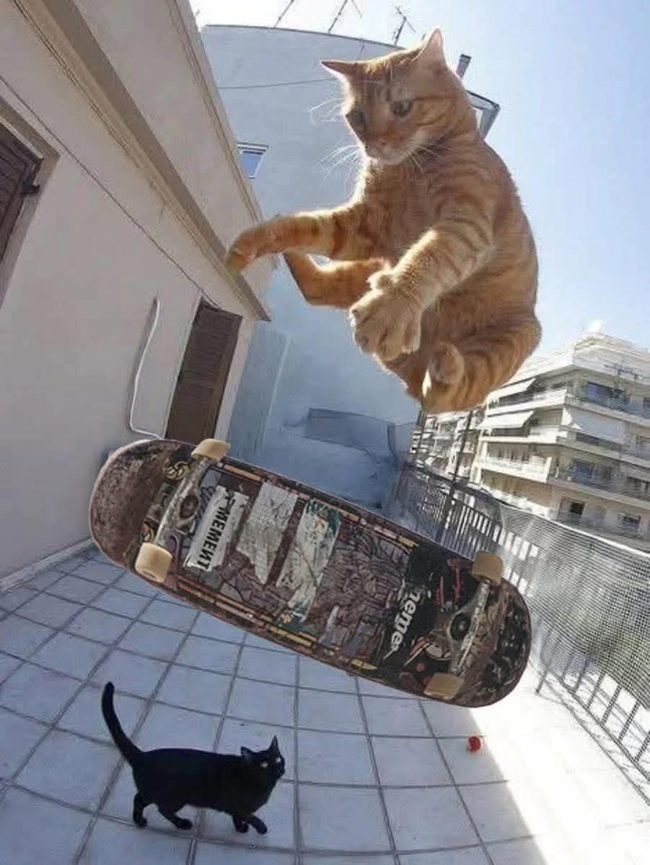 .