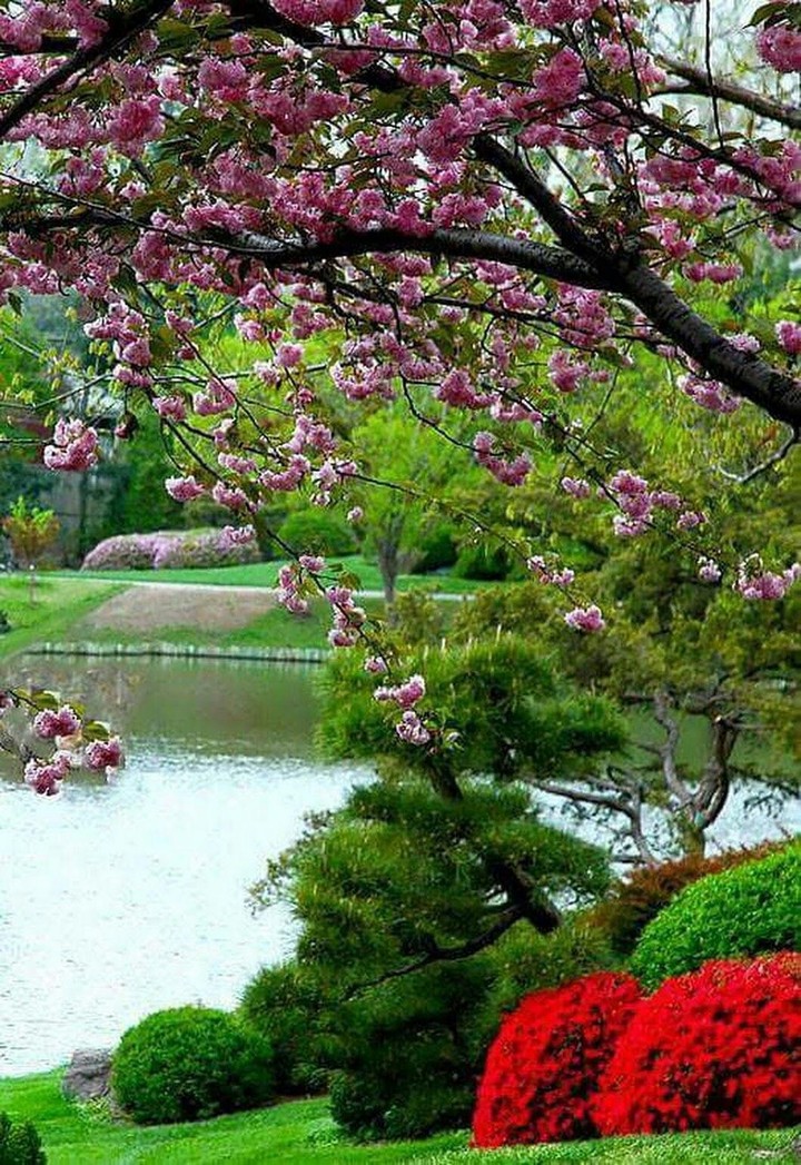 naturaleza..