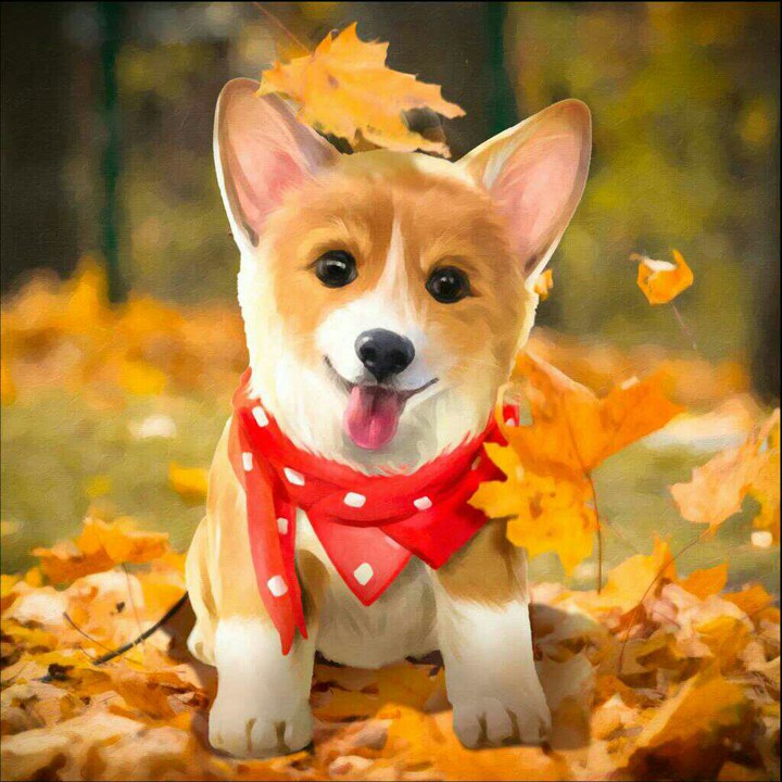 Pupupy Dog ?