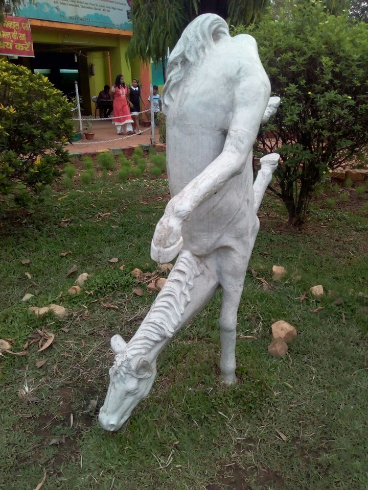 Amazing potret