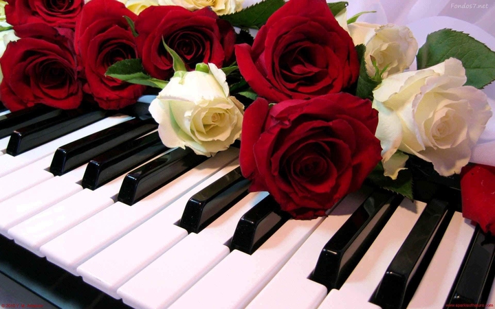 Roses on Piano