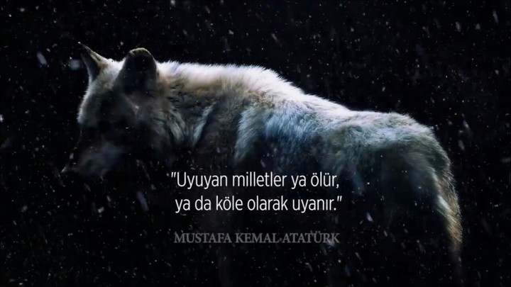 Börü Dizisi (Mustafa Kemal Atatürk)