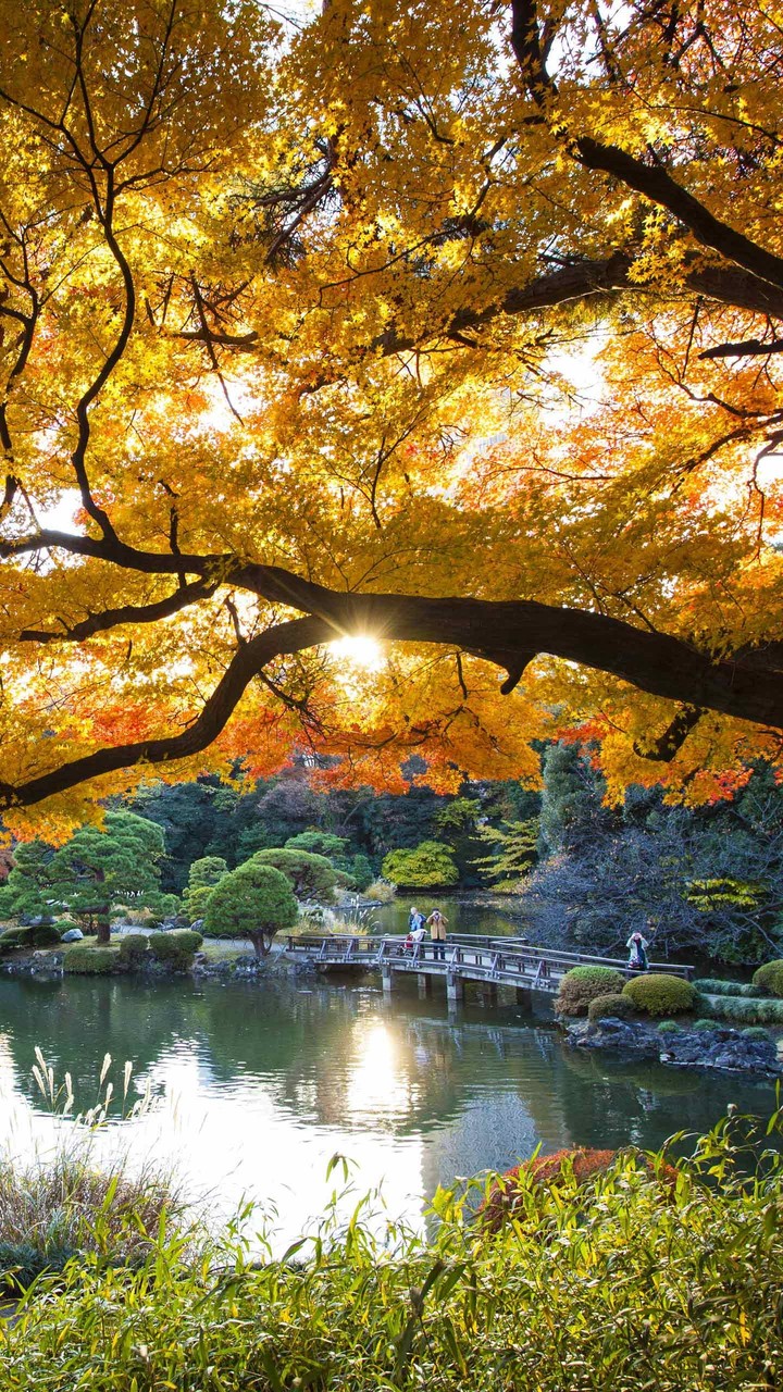 Nature