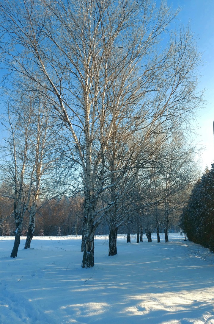 frost end sun
