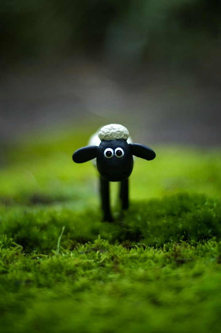 Shaun the sheep