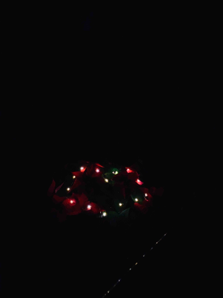Christmas is coming 2/2