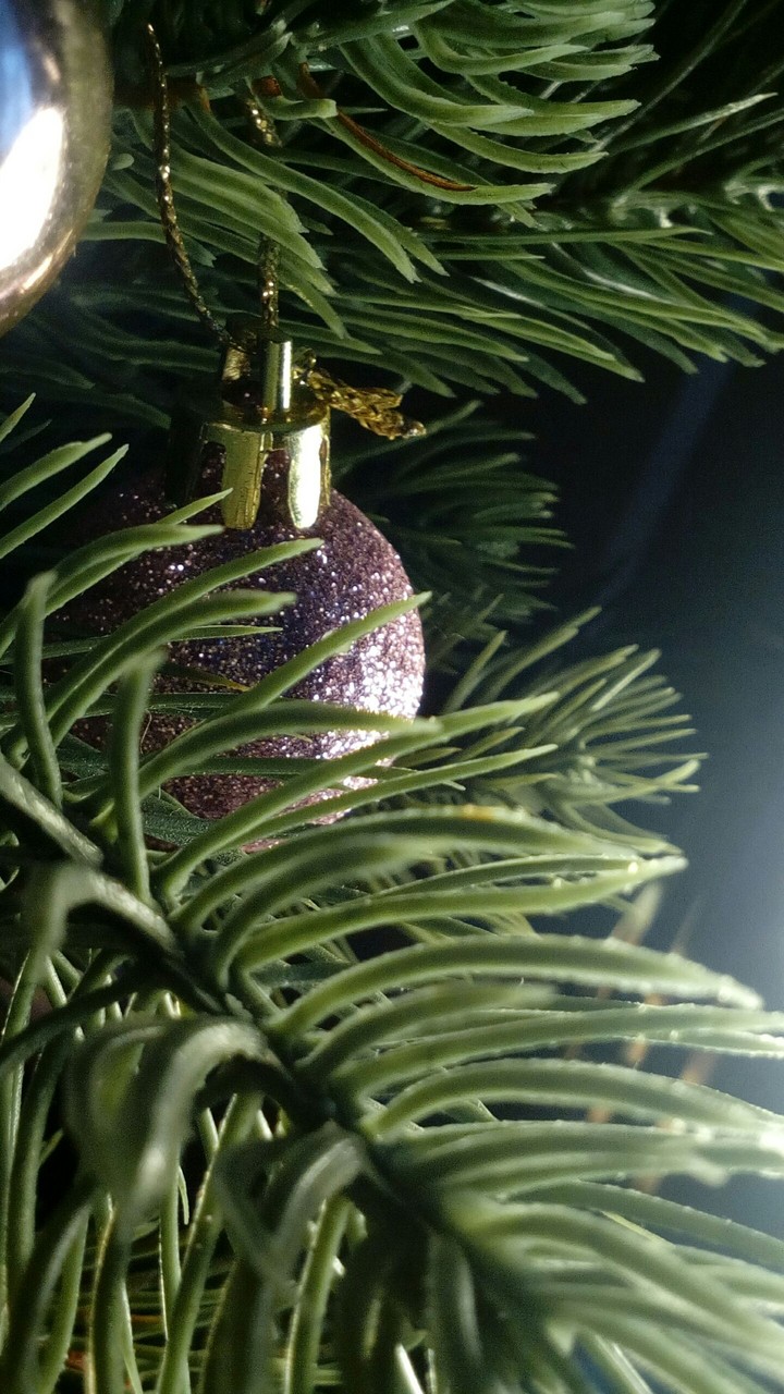 Новогодняя Веточка