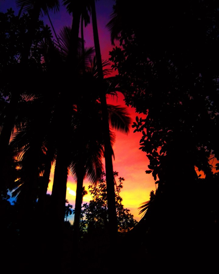 colourful nature