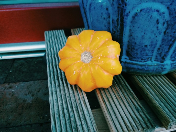 pumpkin