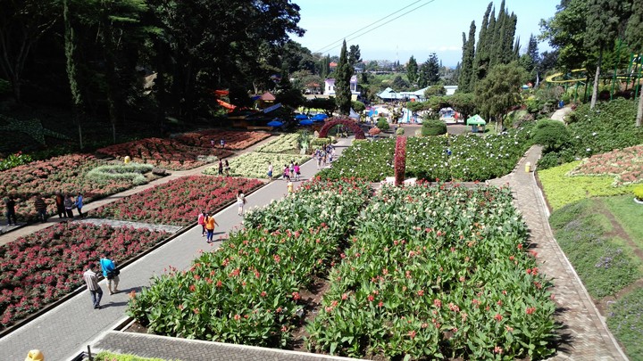 Selecta Garden