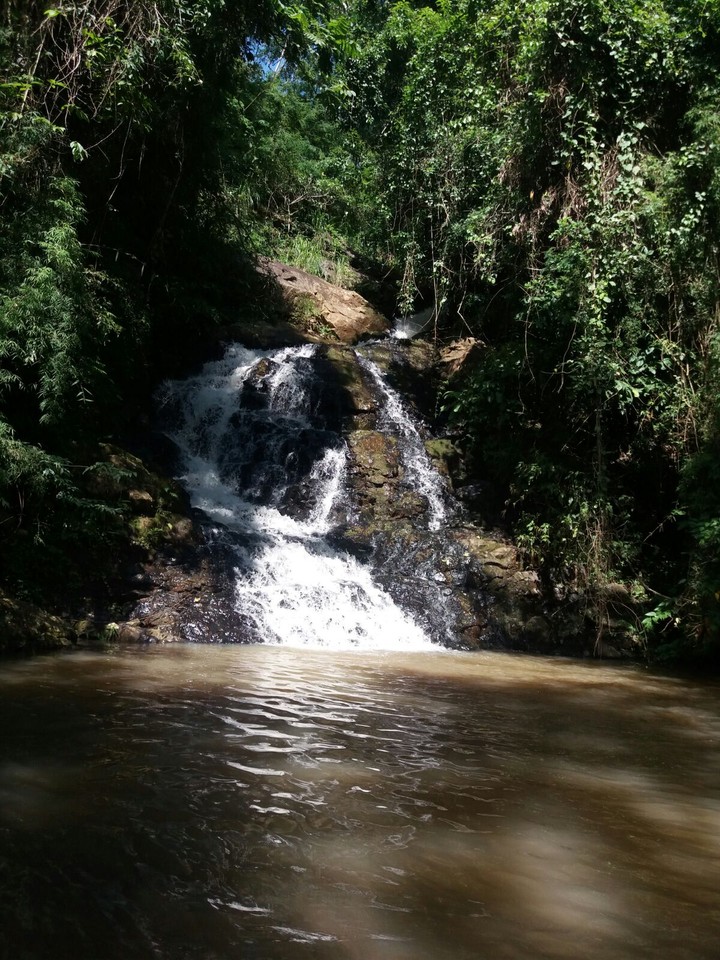 paz