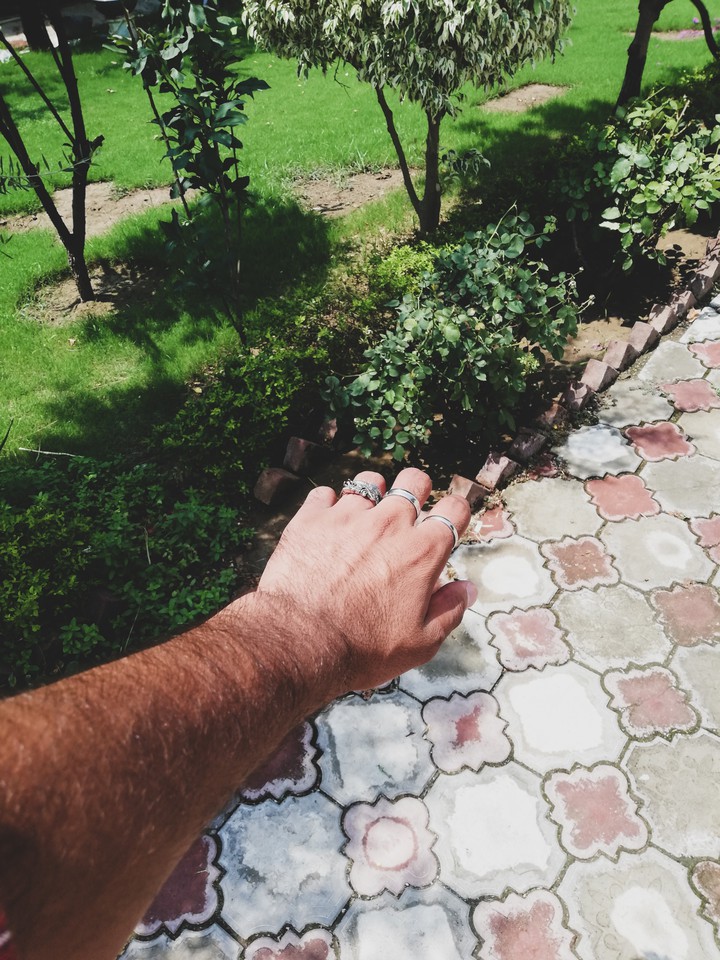rings