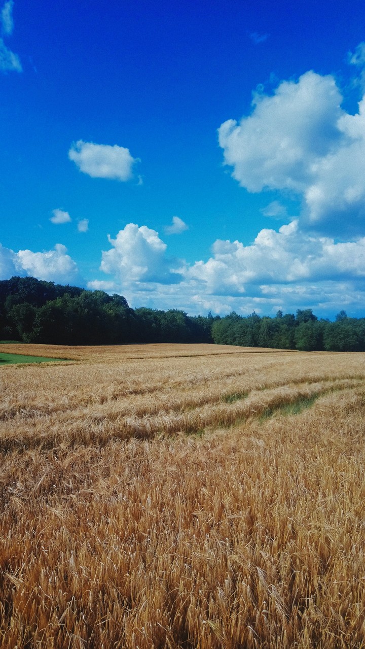 Lost in Latvian countryside.