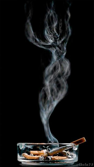 ❤❤❤