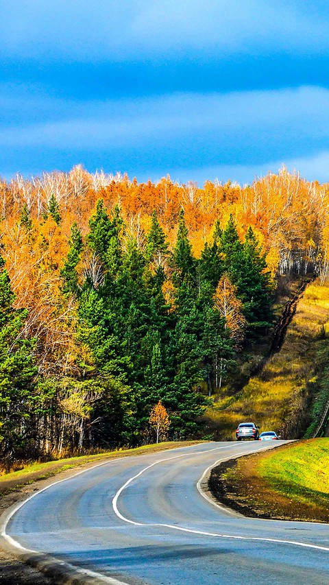 autumn, nature achtergronden