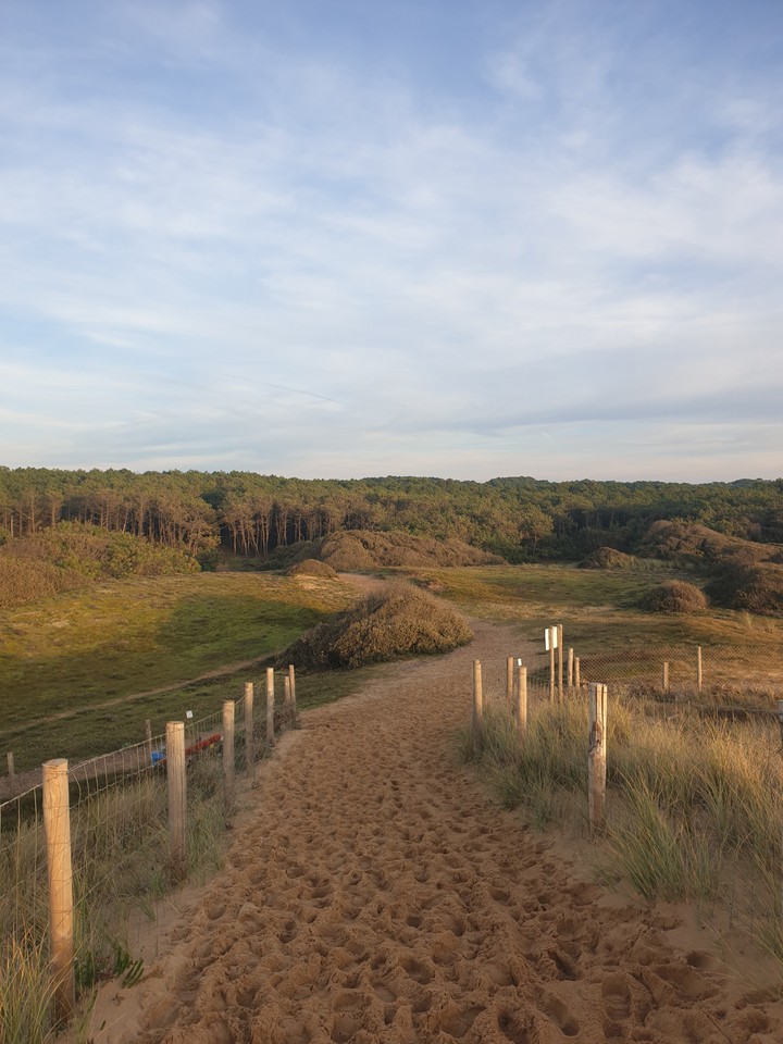 Chemin