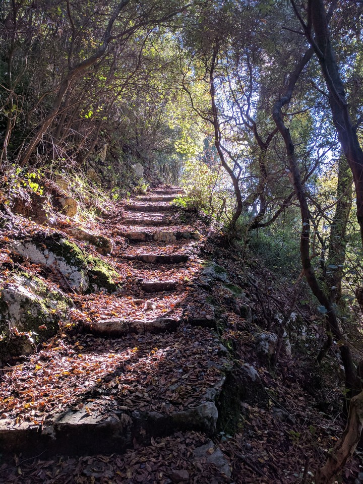 Dreamy path