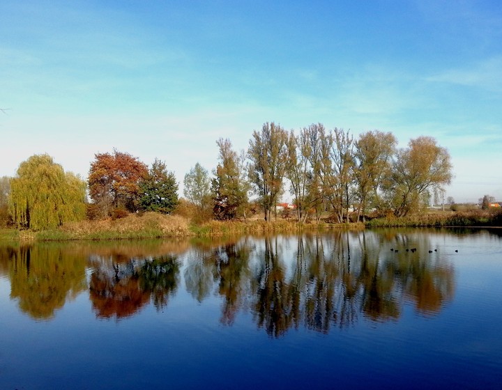 Reflection