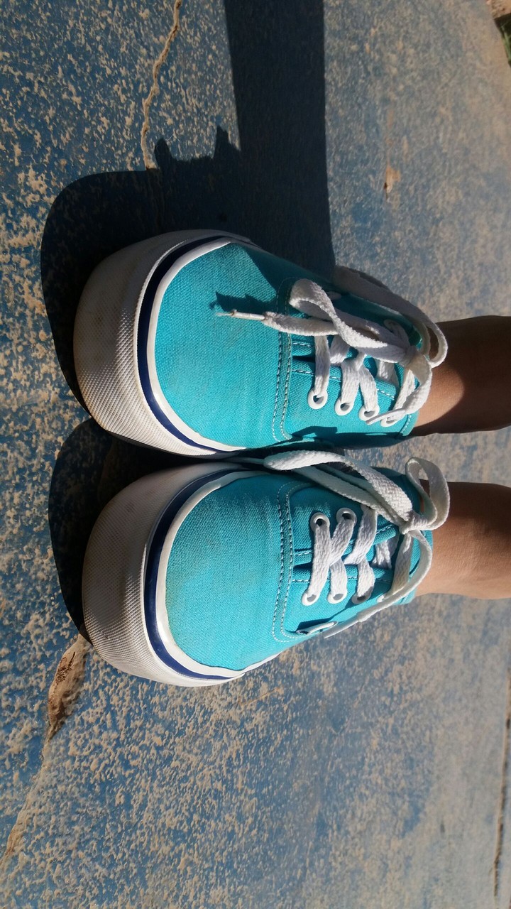 Blue Feet