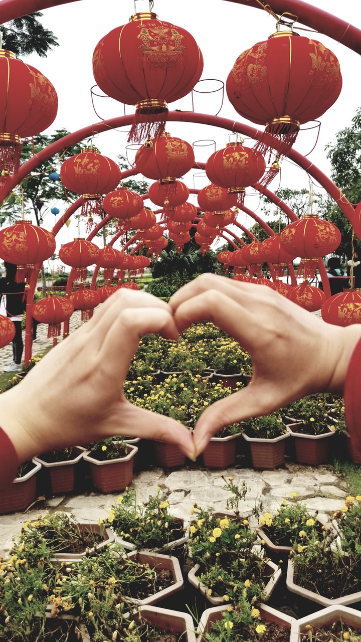 heart