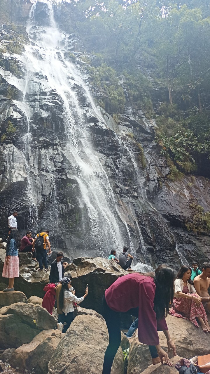 bee fall Pachmarhi