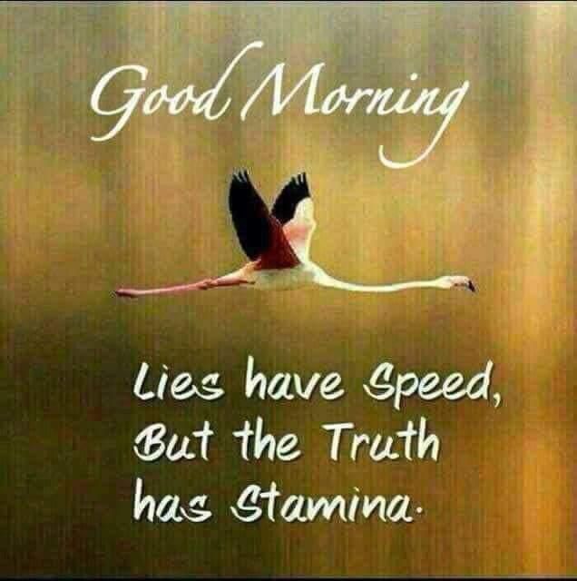 Good morning