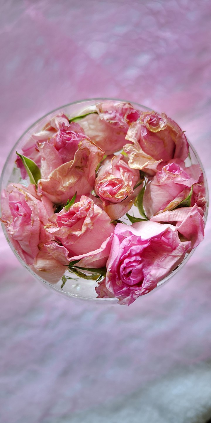 Roses