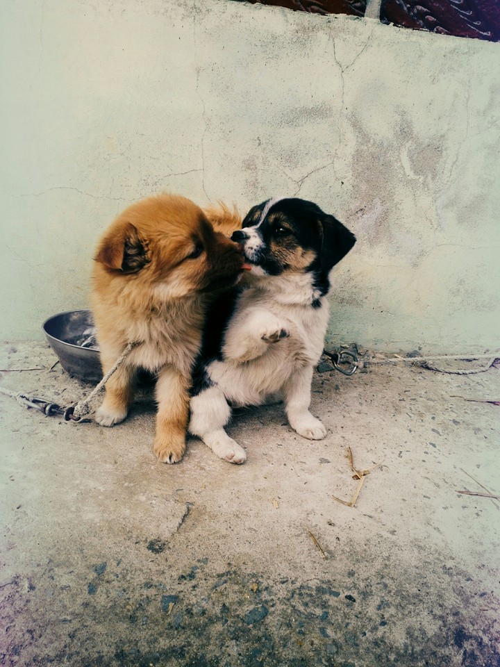 cute