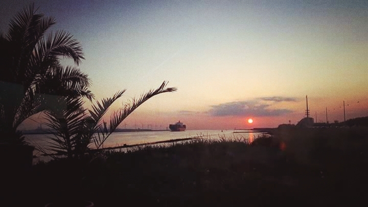 i love  this sunset  
