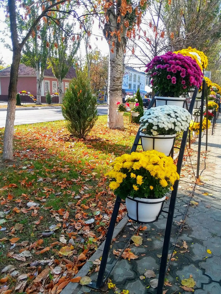 Beautiful day))