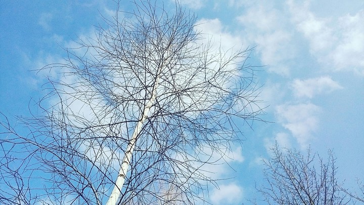 sky