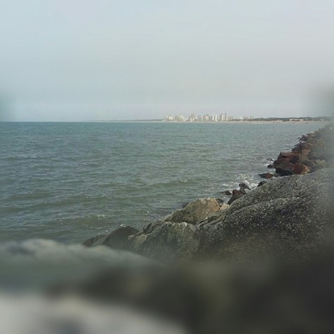 Desvarío