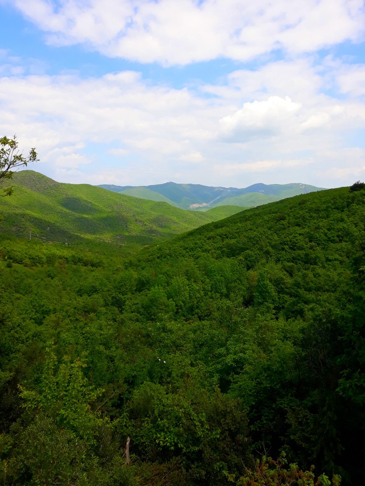 landscapes