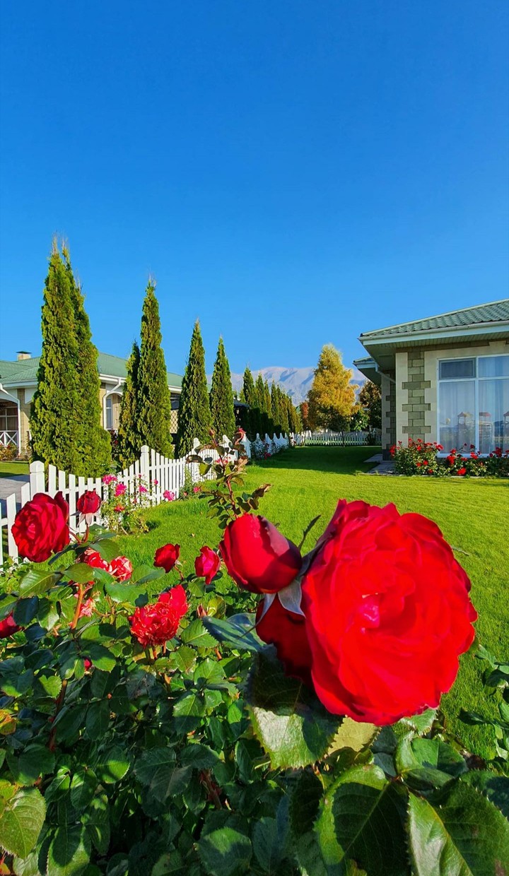 осень