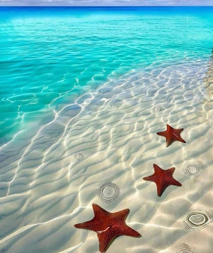 Beautiful beach