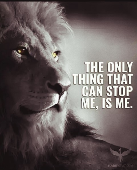 attitude