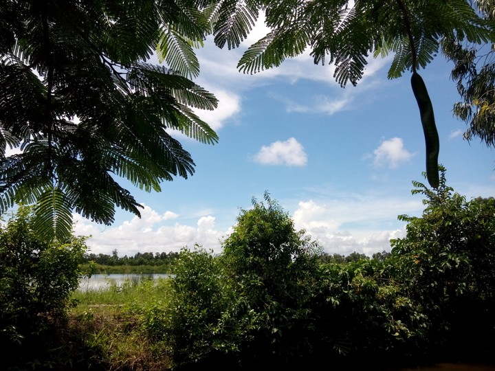 nắng ấm