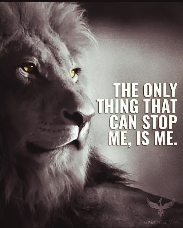 attitude