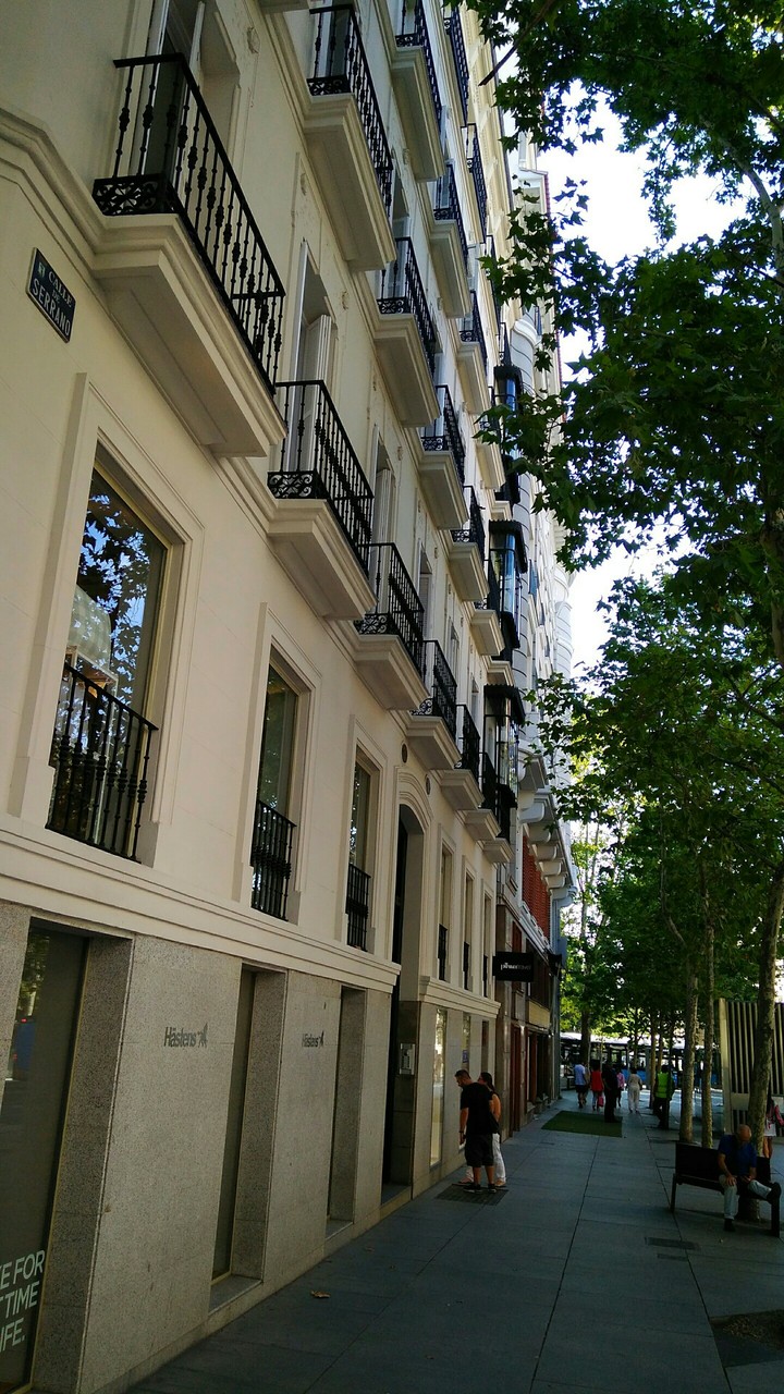calle serrano