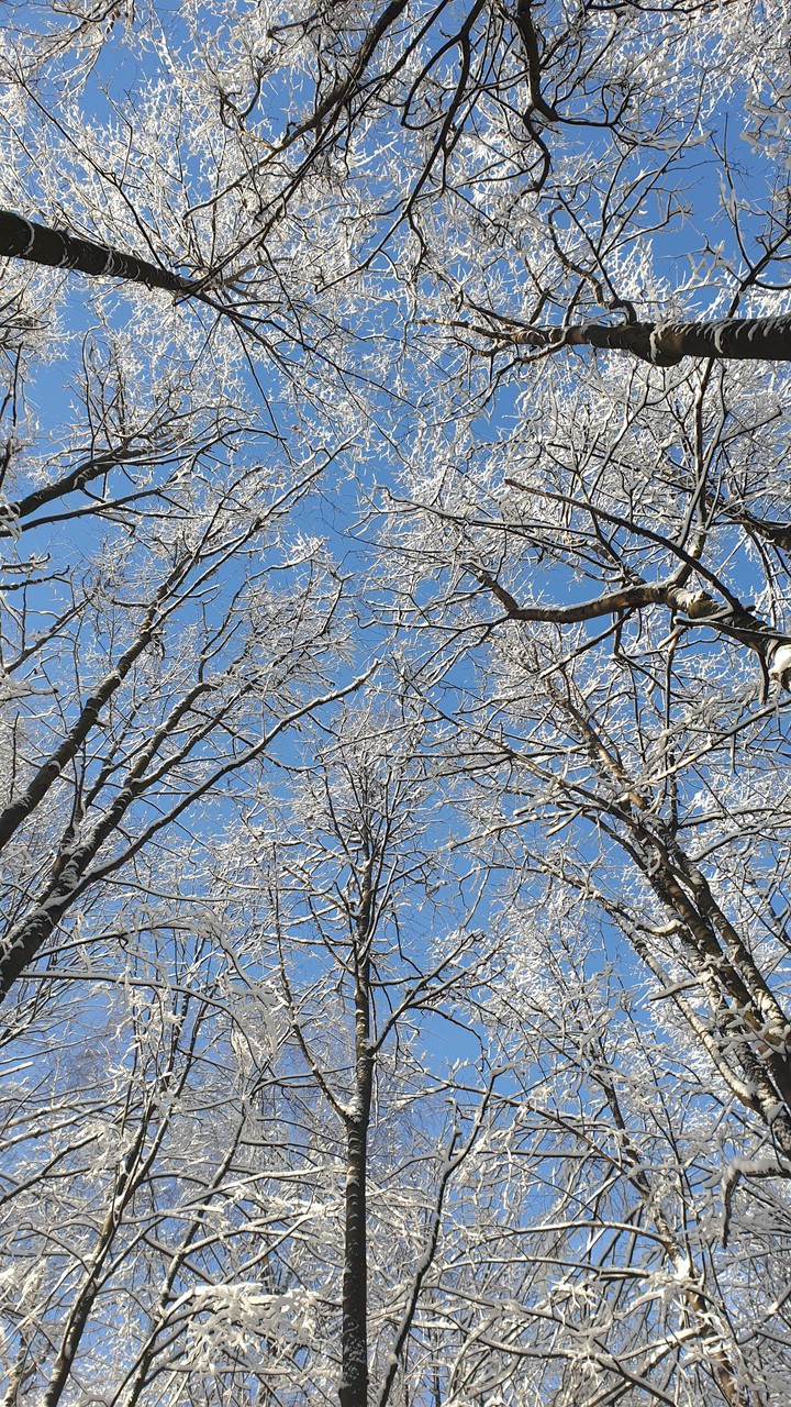 winter sunday