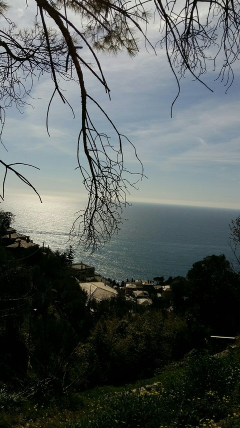 Pieve Alta Genova Panorama