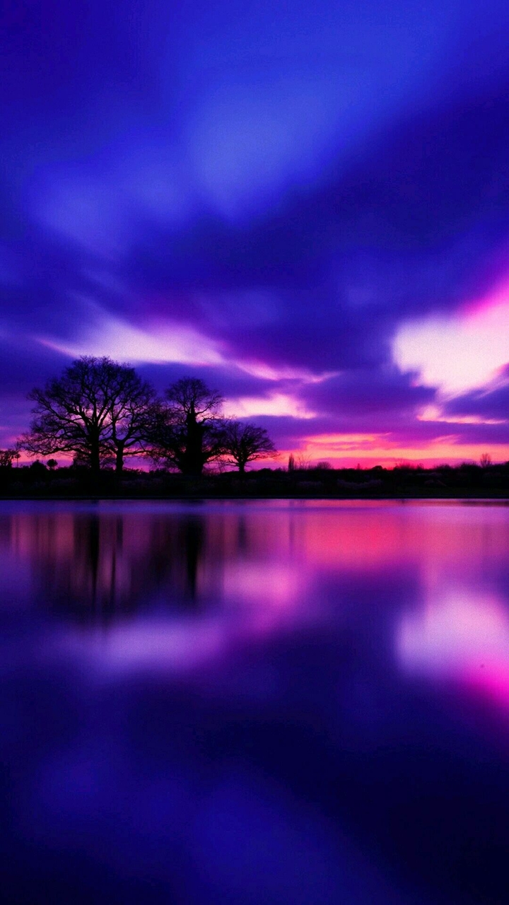 Violet