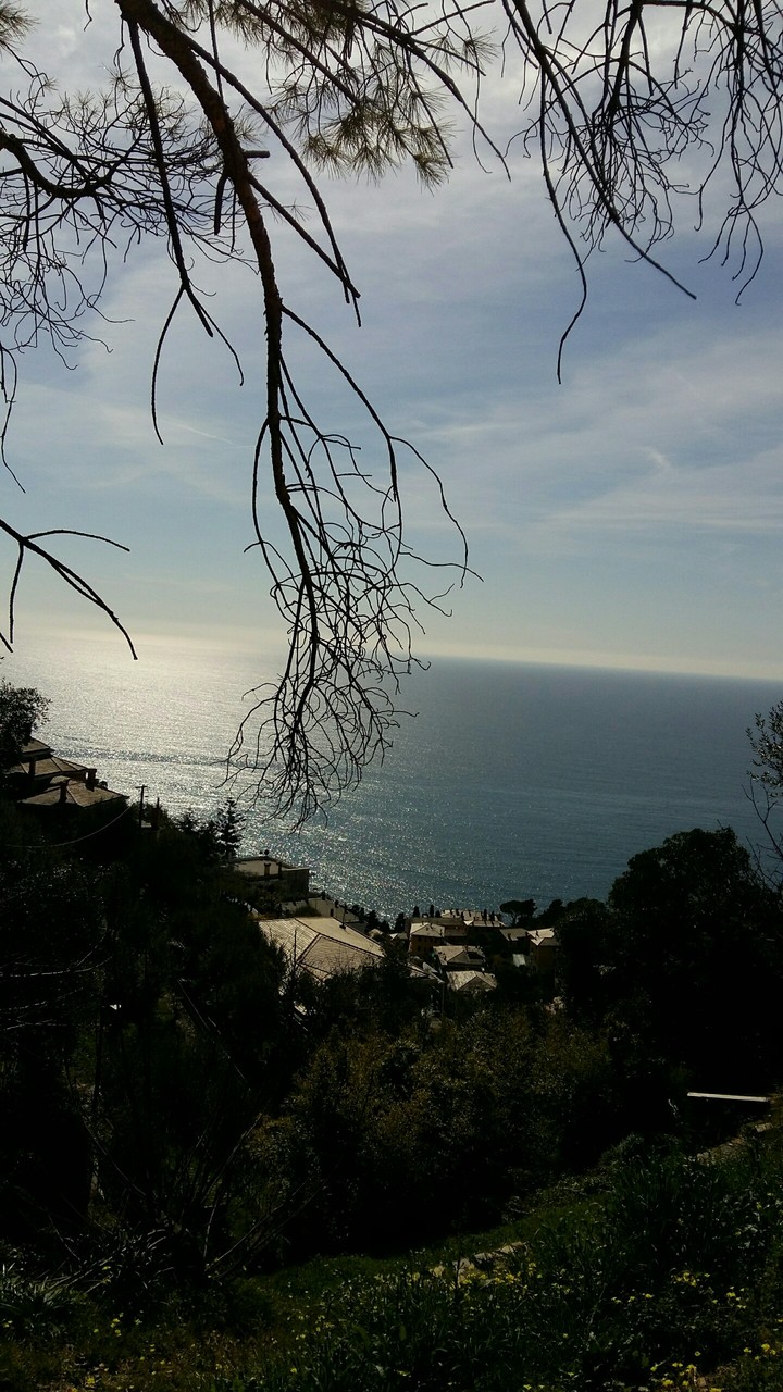 Pieve Alta Genova Panorama