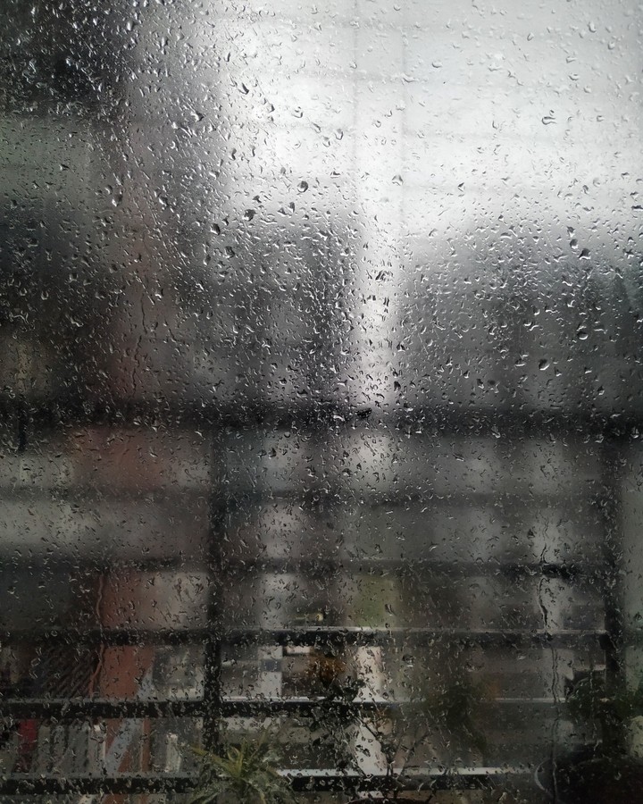 Rain