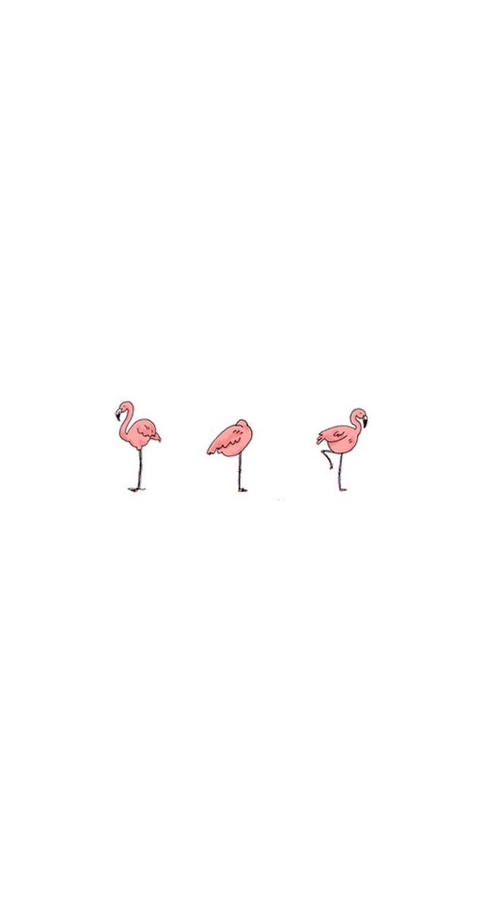 flamingo