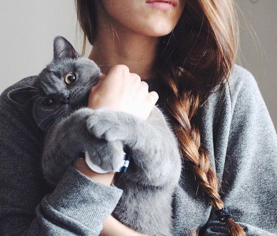 Kittens love